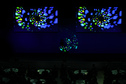 Lightpainting-Show "two Screens"